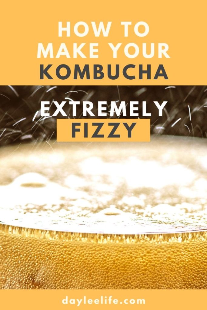 One thing Kombucha brewers tend to agree is that Kombucha should be extremely fizzy. If your Kombucha turns out flat, there are multiple things you need to diagnose first before trying new things.