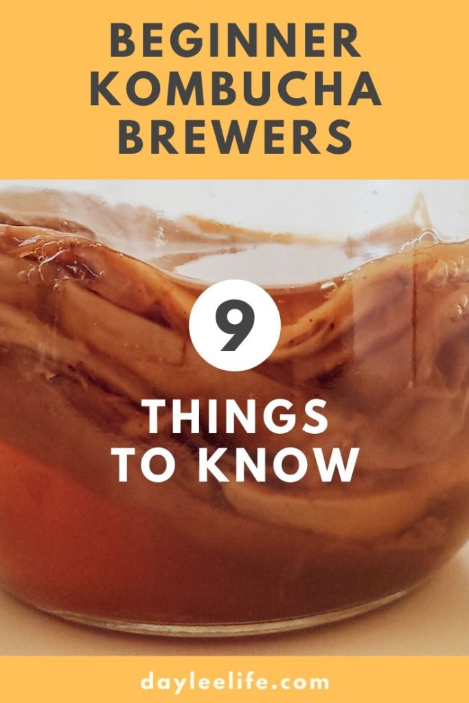 If you are a fan of kombucha drinks, you probably have considered brewing it yourself. Here are the nine things that beginner kombucha brewers need to know. I personally wish I had known these earlier.