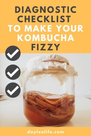 This post discusses the kombucha brewing process step by step to introduce the diagnostic checklist to make your kombucha fizzy and fully carbonated.